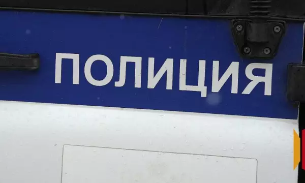Воронежский пенсионер получил удар топорищем по голове за просьбу о помощи в посадке цветов
