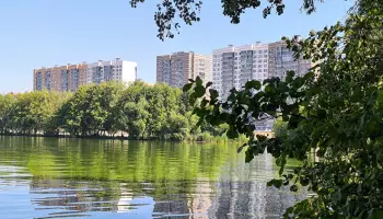 Возвращение дождей и труп на остановке. Главные новости Воронежа и области за 19 сентября