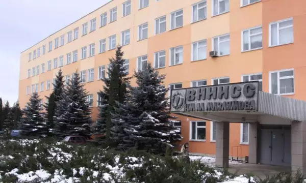 Ремонт зданий научно-исследовательского института сахарной свеклы под Воронежем будет стоить более 527 млн рублей
