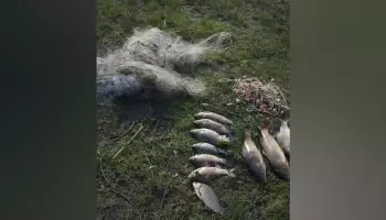Воронежские полицейские задержали браконьера, наловившего рыбы на 23 тыс рублей