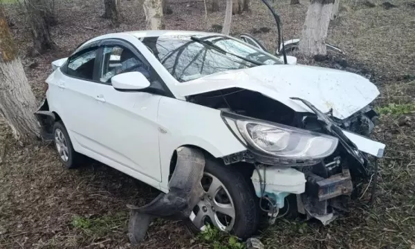 В Воронежской области Hyundai врезался в дерево: пострадали женщина и 7-летний мальчик