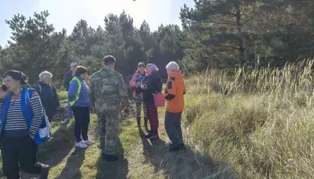 В Воронежской области ушедшая за грибами пенсионерка всю ночь провела в лесу