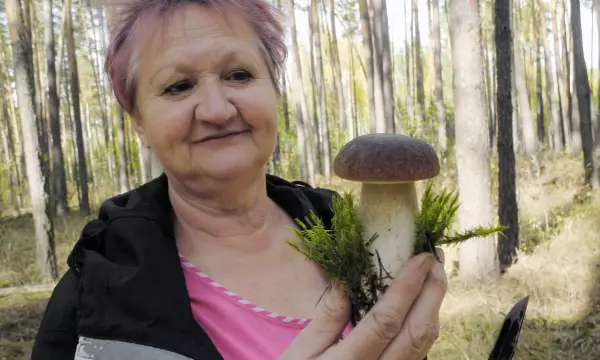 &laquo;Белых грибов было полно&raquo;. Воронежские грибники рассказали об ошеломительном сезоне