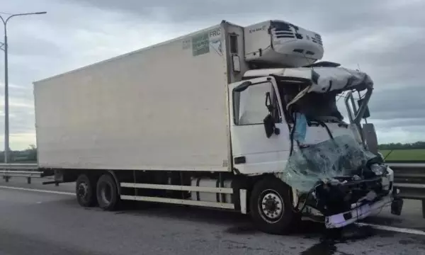 В Воронежской области житель Курской области погиб в смертельном ДТП с фурой и &laquo;Уралом&raquo;