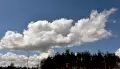 Атака БПЛА и гибель журналиста. Главные новости Воронежа и области за 19 августа
