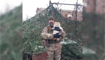 &laquo;Всюду ходил за мной, ничего не боялся&raquo;. Воронежец рассказал, как вернулся с СВО с рыжим котом