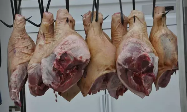 Два подпольных мясных цеха накрыли силовики в Воронеже