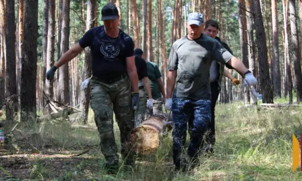 Жителей Поворинского и ближайших районов позвали на заготовку бревен для СВО