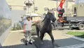 В Богучаре появились новые арт-объекты