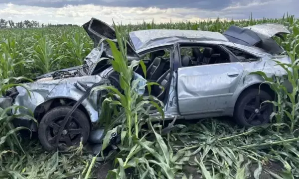 Воронежец на Audi вылетел в кукурузное поле: погиб 36-летний пассажир