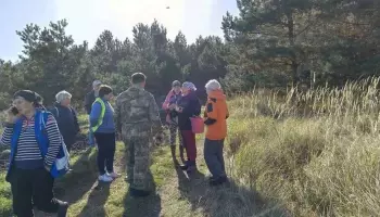Ушедшая за грибами пенсионерка всю ночь провела в лесу в Воронежской области