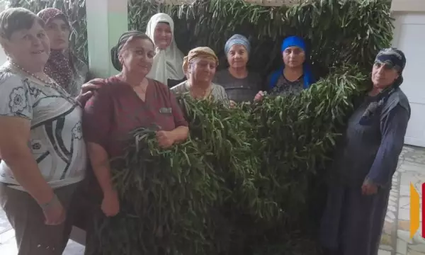 Грибановские волонтеры отправили в зону СВО 600 маскировочных сетей