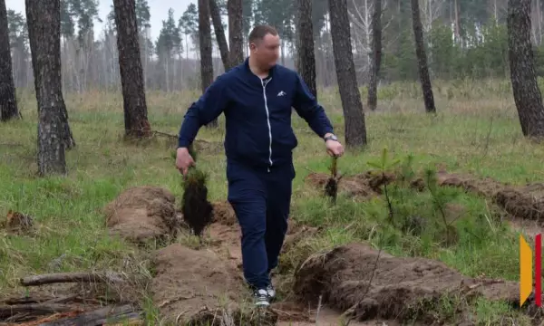 В Грибановском районе участник СВО посадил саженцы сосны в рамках акции &laquo;Сад памяти&raquo;