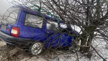 Пенсионеры пострадали в вылетевшем с дороги универсале в Воронежской области