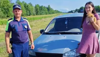 Воронежские полицейские помогли девушке, которая по пути из Волгоградской области пробила колесо