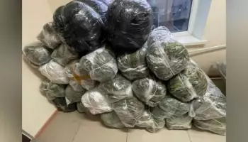 Павловские волонтеры отправили маскировочные сети бойцам СВО