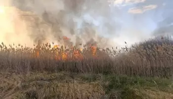 В селе Нижний Мамон выгорел камыш на площади 9 соток