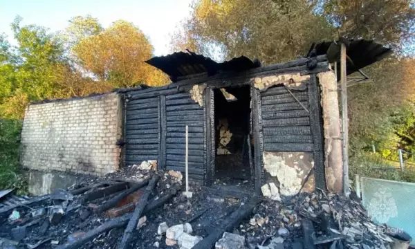 Спасатели поделились фото с места пожара в воронежском селе Трещевка, при котором погибла 81-летняя женщина