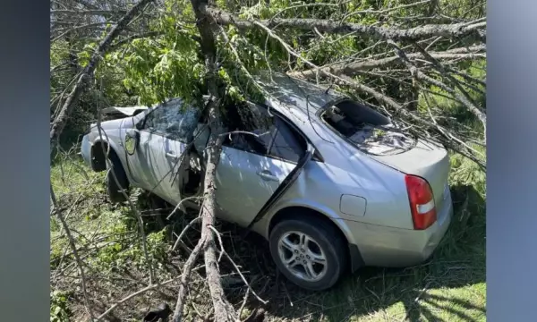 В Воронежской области Nissan вылетел в кювет и врезался в дерево: в больнице скончался пассажир