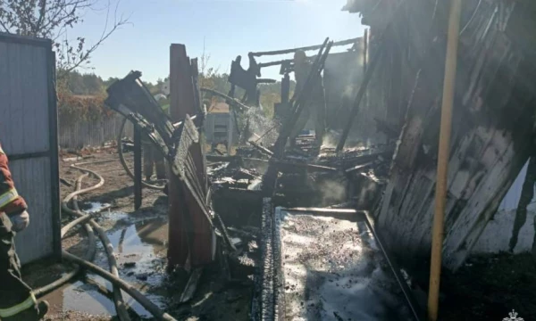 Появились подробности пожара в воронежском селе Пески, где погиб 8-летний мальчик