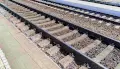 В Воронежской области спровоцировавшая ЧП на железной дороге жительница потребовала от РЖД машину