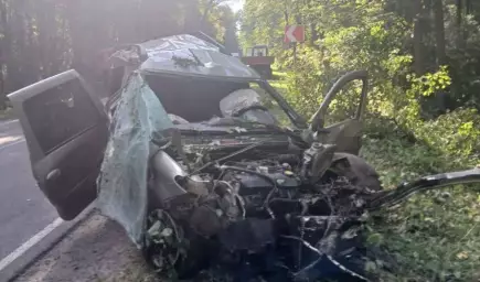 В Воронежской области &laquo;Лада&raquo; вылетела с дороги: погибли 2 человека
