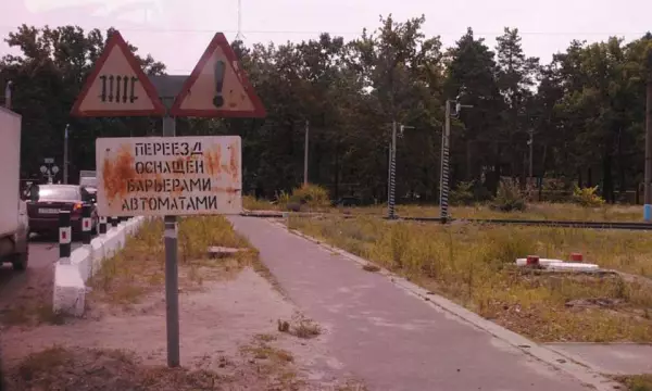 Мужчина погиб под поездом в Воронежской области