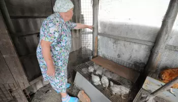 Главное за ночь. Россия движется к завершению украинского конфликта, а её жители несут кур и петухов в МФЦ.