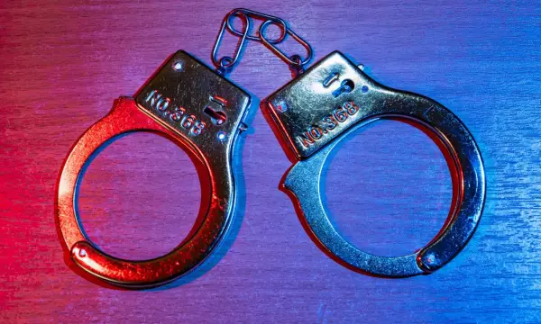 Понизить возраст уголовной ответственности предложили в России