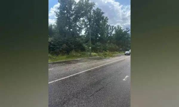 Под Воронежем из-за падения ветки дерева у жителей Ямного пропало электричество