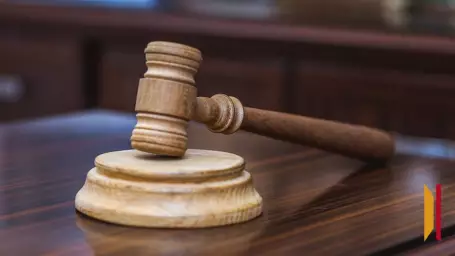 Под Воронежем продлили заключение под стражу супругов, обвиняемых в истязании 3 приемных детей