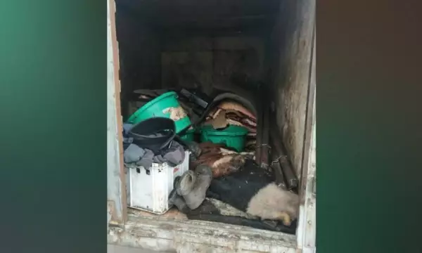 В Воронежской области в кузове грузовика перевозили 1,5 тонны мяса в антисанитарных условиях