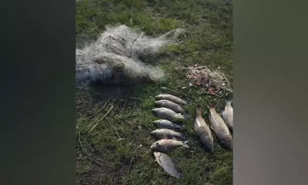Воронежские полицейские задержали браконьера, наловившего рыбы на 23 тыс рублей