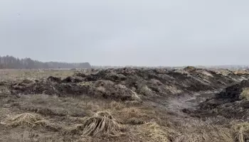 В Воронежской области работа тяжелой техники на Усманке привела к уголовному делу