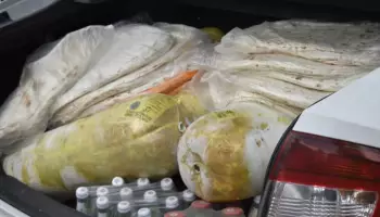 В Воронежской области изъяли 100 кг опасного куриного мяса без документов