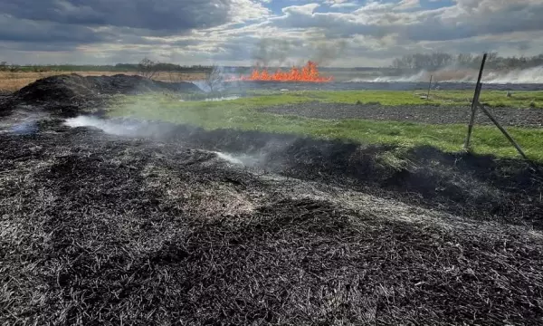 В воронежском селе Приречное выгорел камыш на площади почти в 1 га и пострадали 2 хозпостройки