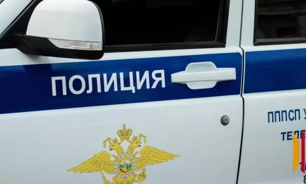 Сова, барсук и угрозы убийством: как мошенники лишили воронежского мастера 22,8 млн рублей