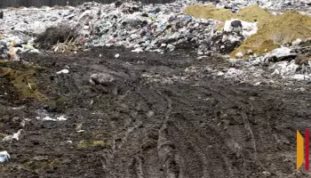 Под Воронежем подрядчик попытался получить 1,7 млн рублей за неубранную свалку