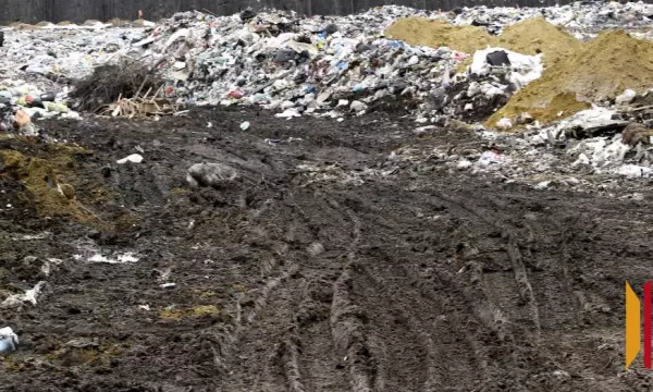 Под Воронежем предприятие обязали ликвидировать крупную свалку