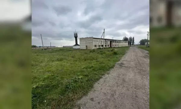В Воронежской области выставили на продажу колхоз за 325 млн рублей