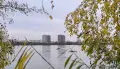 Труп на балконе и налёт БПЛА. Главные новости Воронежа и области за 20 октября