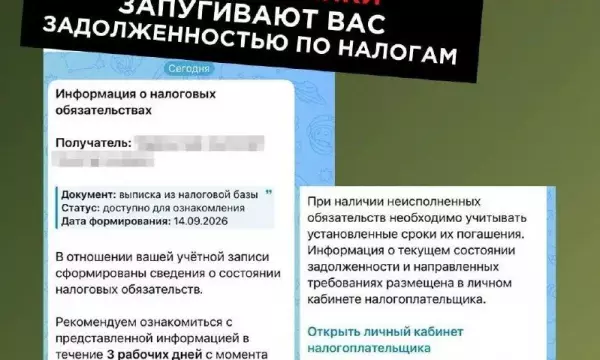 О фальшивых налоговых уведомлениях предупредили воронежцев