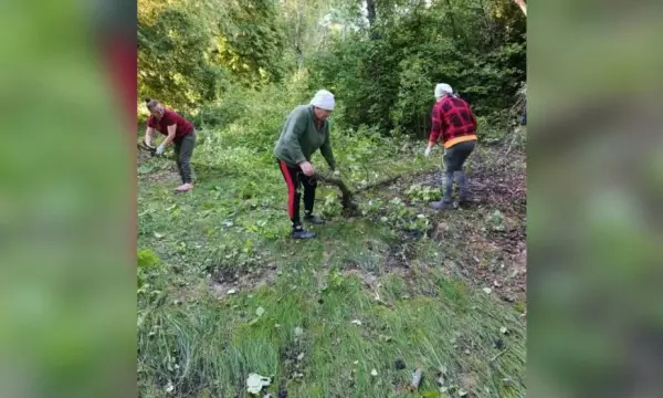 Панинские активисты благоустроили яблоневый школьный сад в поселке Тойда