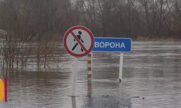 Движение по мосту через реку Ворона закрыли в Воронежской области