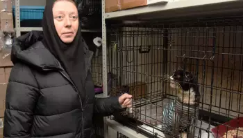 Монахиню, помогавшую животным, выгнали из перехода у ТРЦ в Воронеже