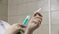 В воронежском поселке Луч ввели карантин по бешенству животных