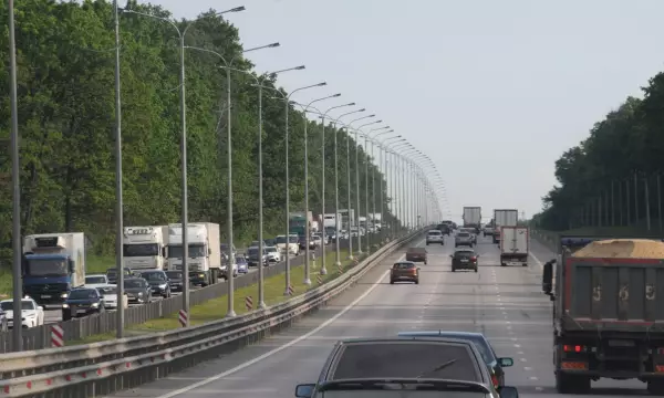 ДТП с автобусами и рухнувшее на машины дерево. Главные новости Воронежа и области за 26 мая