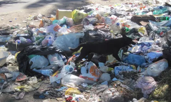 За неубранный в воронежском дворе мусор оштрафуют &laquo;Экотехнологии&raquo;