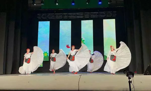 Чем живет воронежский хореографический коллектив &laquo;Настроение&raquo;