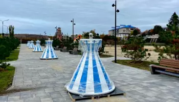 В Павловске на городском пляже установили новые арт-объекты